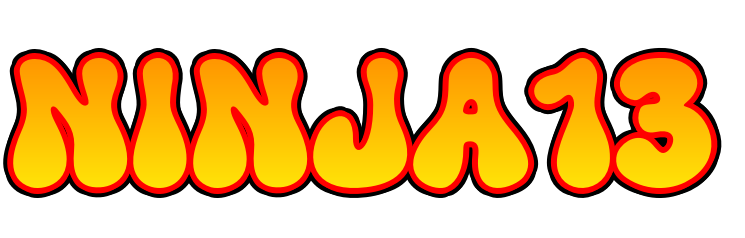 NINJA13